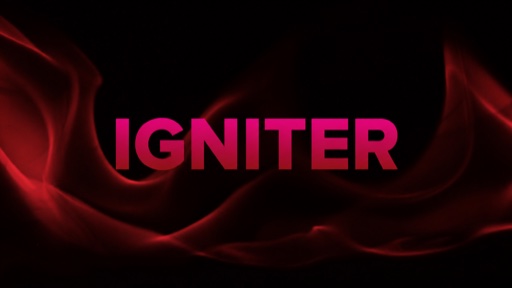 IGNITER business development programme